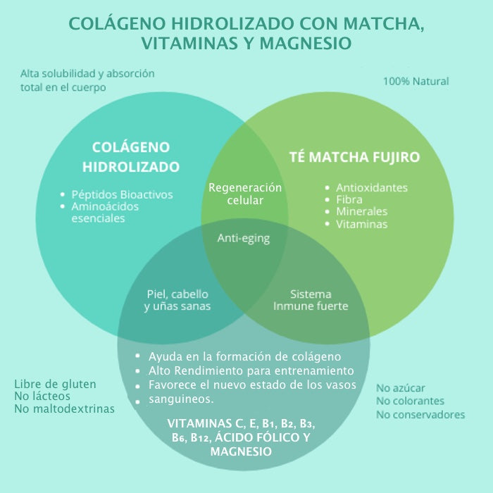 Colágeno Hidrolizado con Matcha + GRATIS ToGo